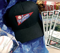 Customize a baseball tour for your team!!