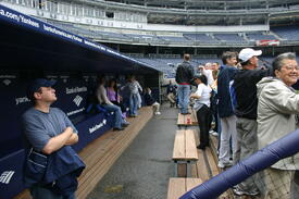 Dugout at Yankee Stadium