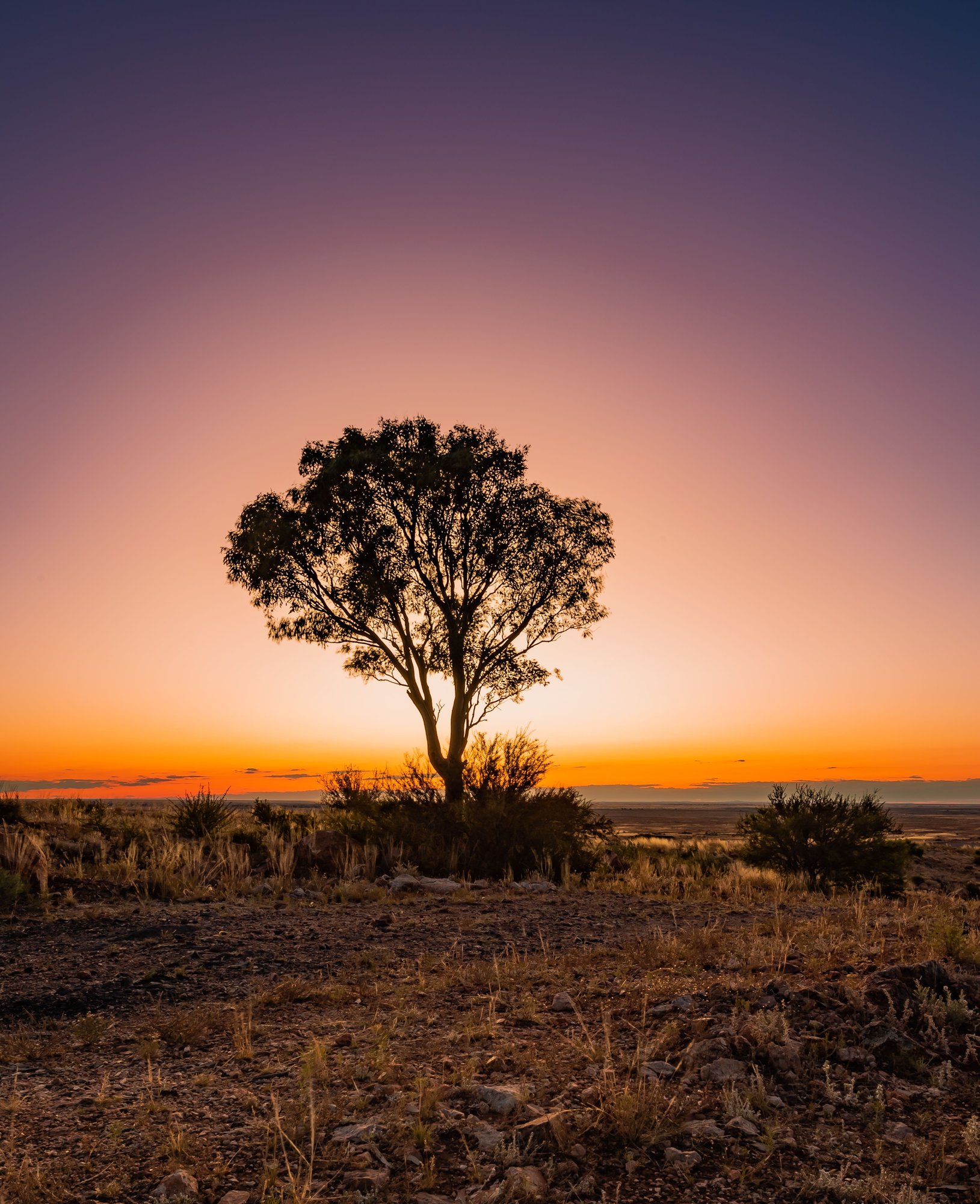 AdobeStock_675051616