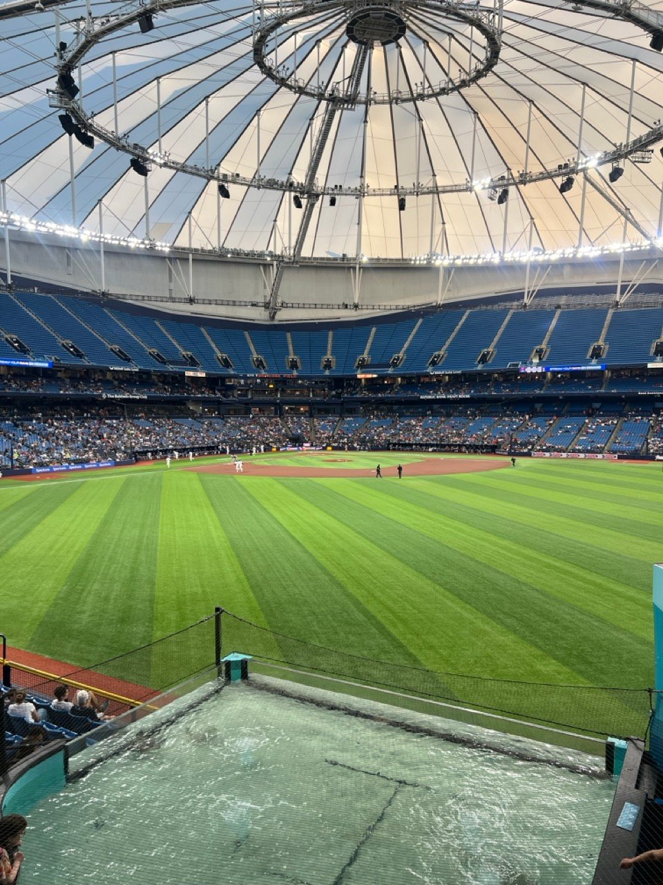 Tropicana Field with Sting Ray Tank